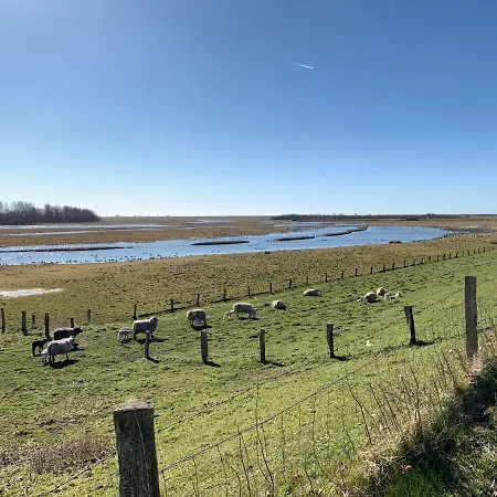 Peerhus In Zwischen Tönning Und St Peter Ording *