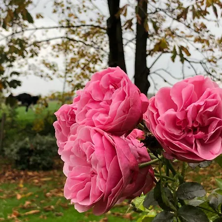 Peerhus In Zwischen Toenning Und St Peter Ording Katingsiel
